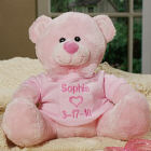 Embroidered New Baby Girl Pink Teddy Bear